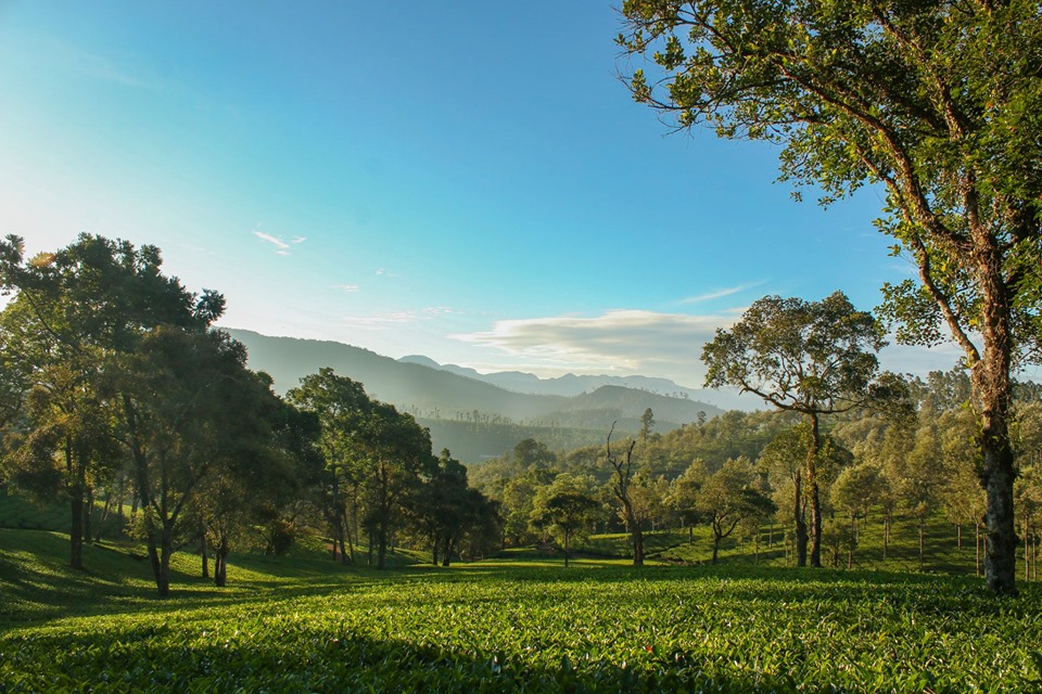 Athirappaly & Valparai