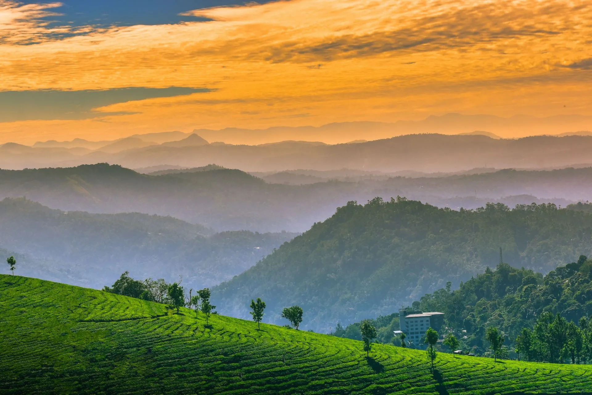 Munnar